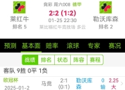勒沃库森客场惨败，竞争对手拉开差距的简单介绍