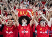 关于广大球迷们在比赛中为自己支持的球队加油助威的信息
