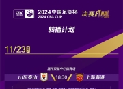 国内球队在区域杯赛事中一路前行，成功晋级 